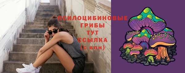 хмурый Верхний Тагил