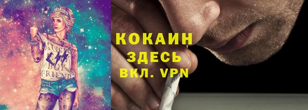 спайс Бородино