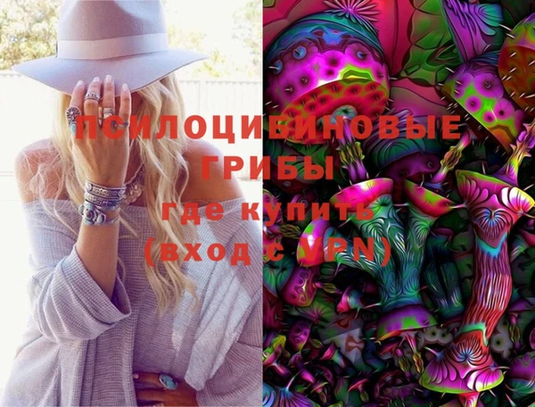 хмурый Верхний Тагил
