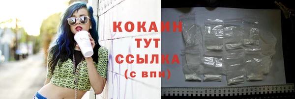 хмурый Верхний Тагил