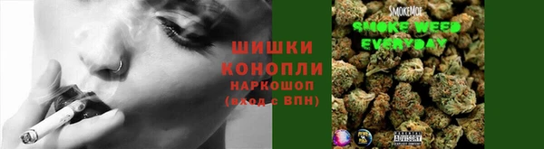 спайс Бородино