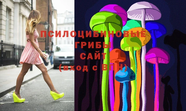 спайс Бородино