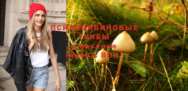 винт Верея