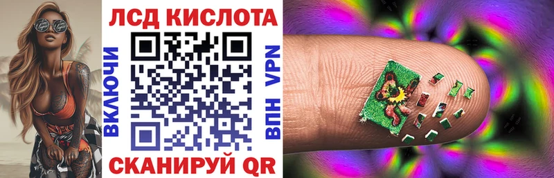 мега вход  купить   Гдов  Марки NBOMe 1500мкг 