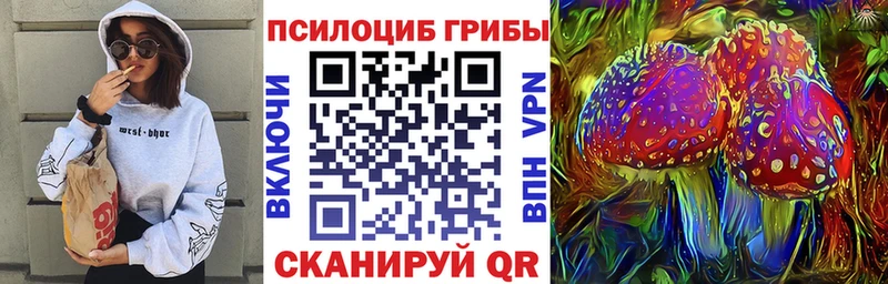 Галлюциногенные грибы Cubensis  ОМГ ОМГ tor  Гдов  закладки 